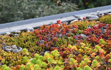 the cost of Bail Ard Bhuirgh green roof installation