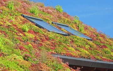 Bail Ard Bhuirgh living roof systems
