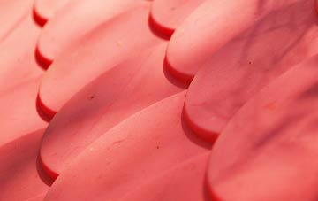 Bail Ard Bhuirgh plastic roof costs